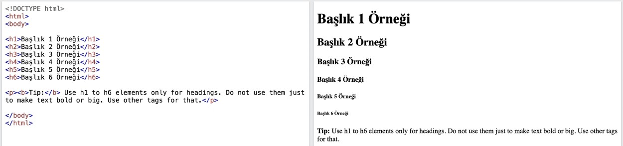 H1 Etiketi Nasıl Oluşturulur?